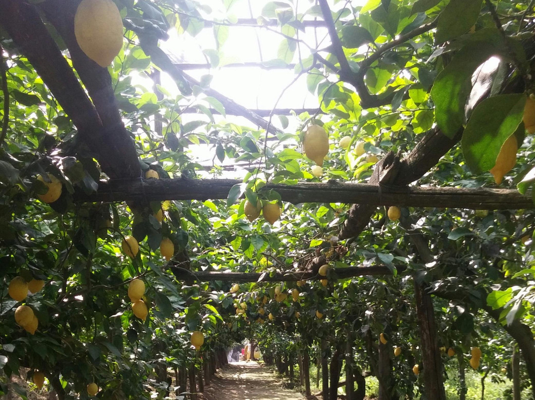 Gialpi DMC-斯塔比亚海堡必去景点