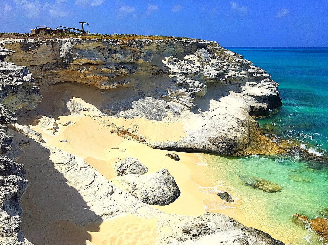 Salt Cay Whale Adventures-Salt Cay必去景点