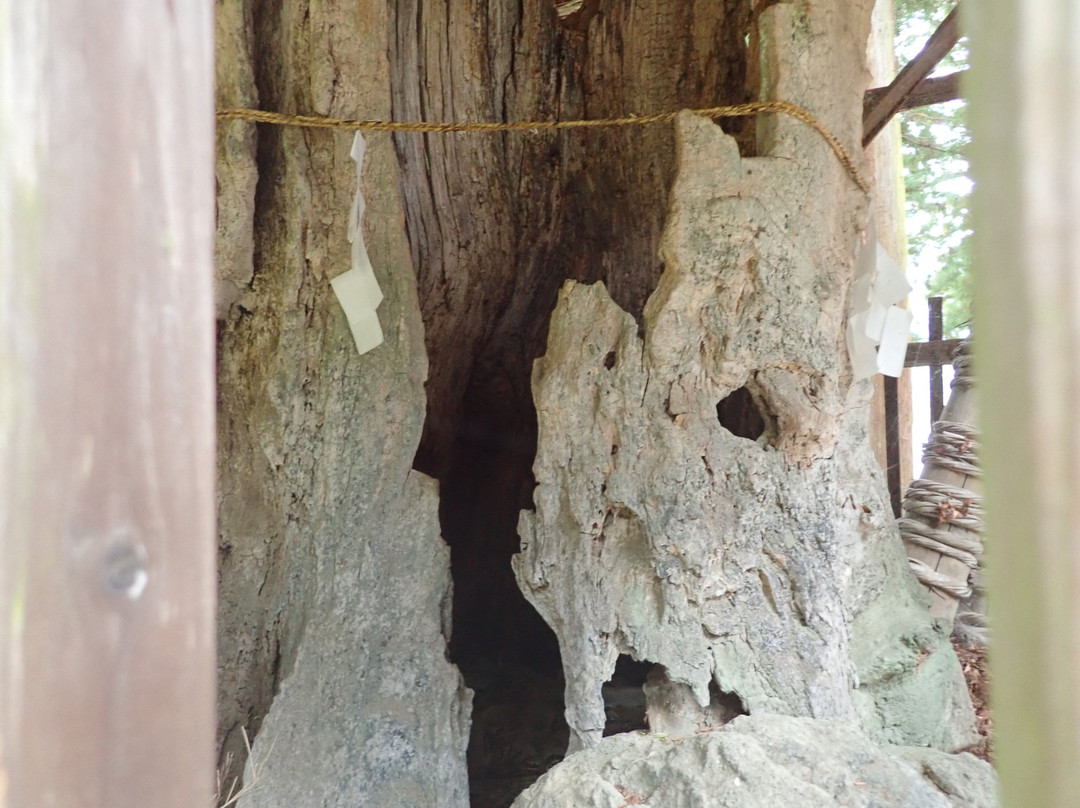Shiono Shrine-上田市必去景点