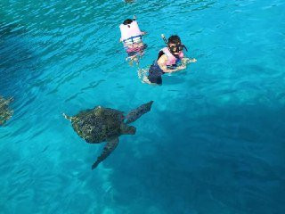 热浪岛海洋生态公园-热浪岛必去景点