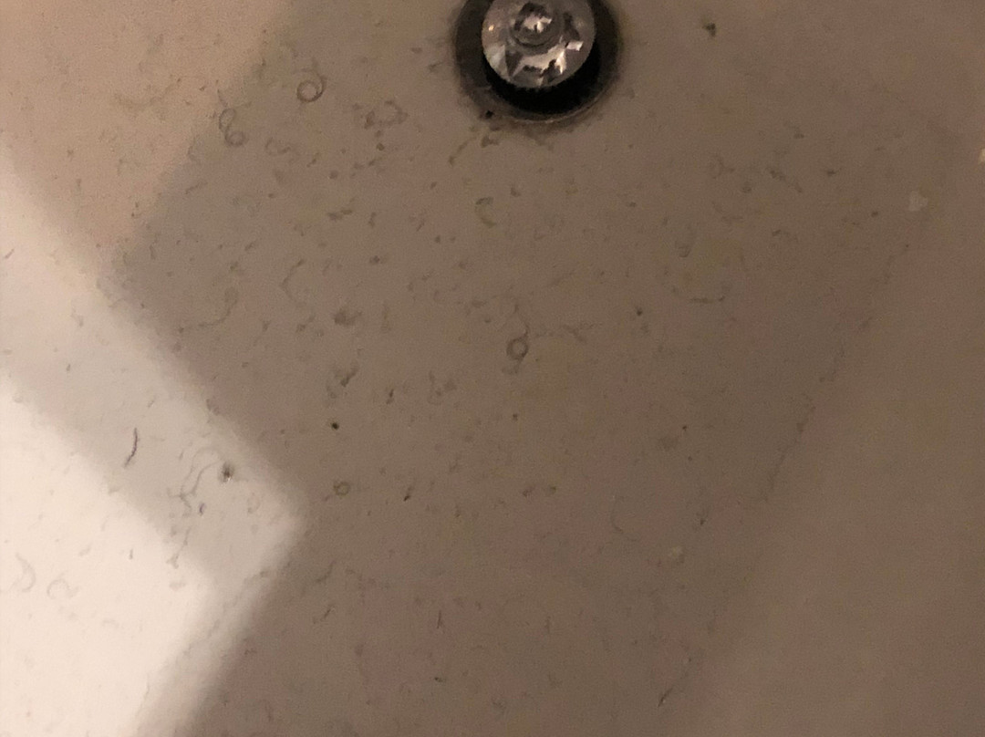 杰克逊霍尔酒店主图