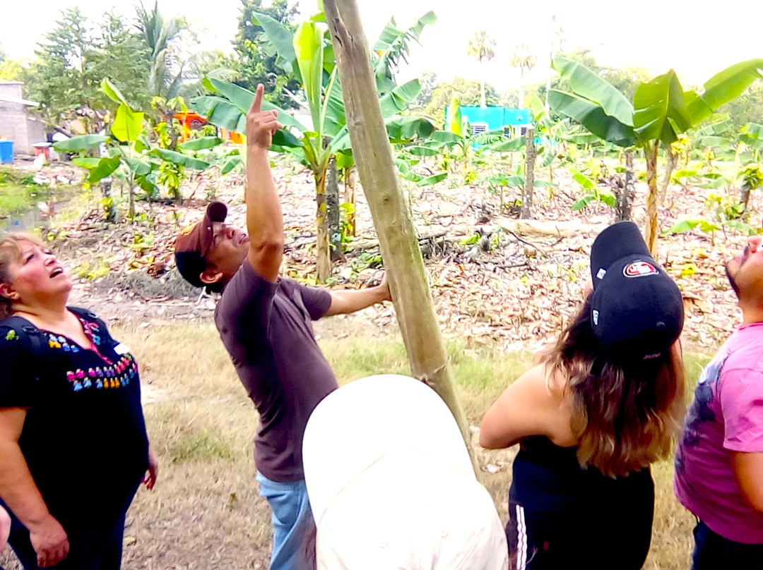 Drupa Museo Interactivo del Chocolate-Cunduacan必去景点