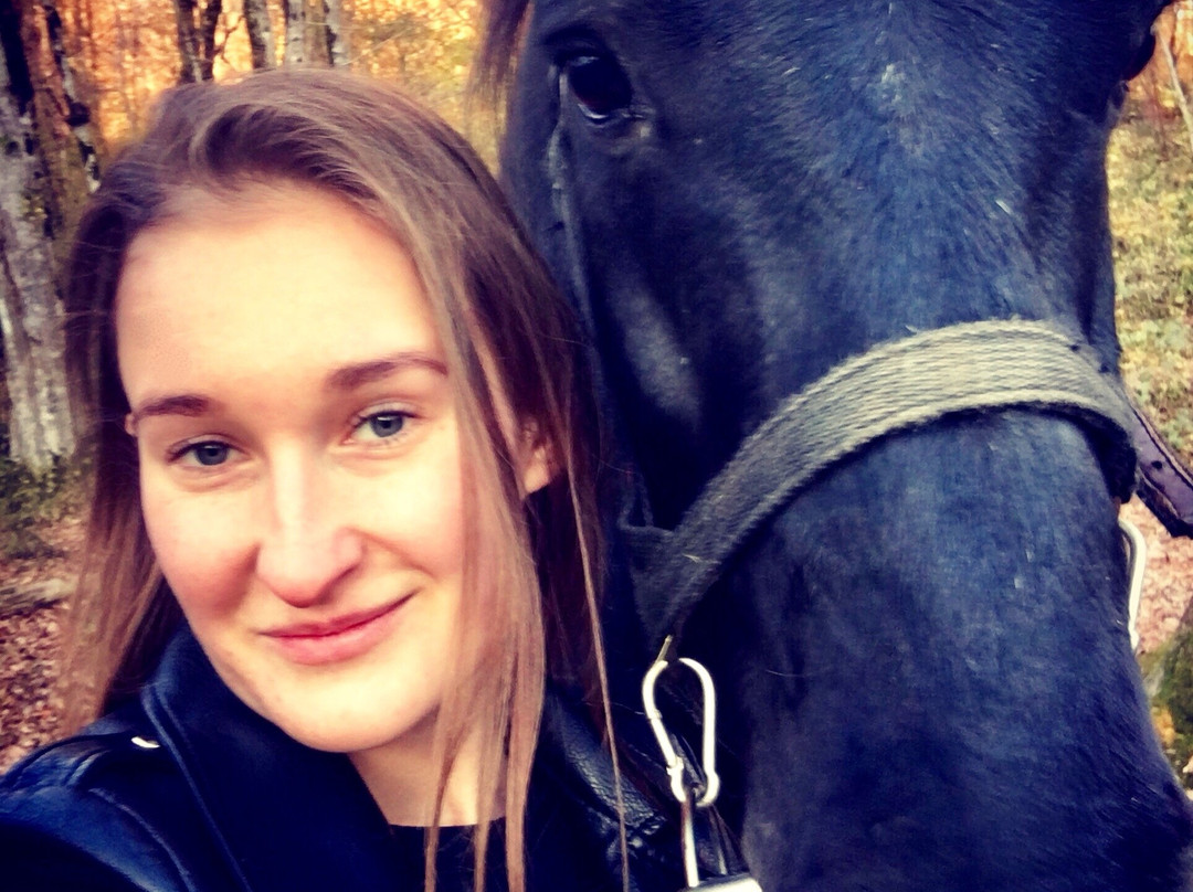 Kazachiy Brod Horse Stable景点图片