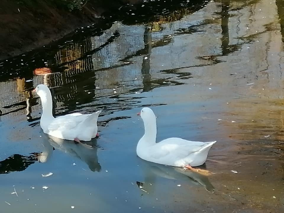 Bio Agriturismo Aia del Tufo主图