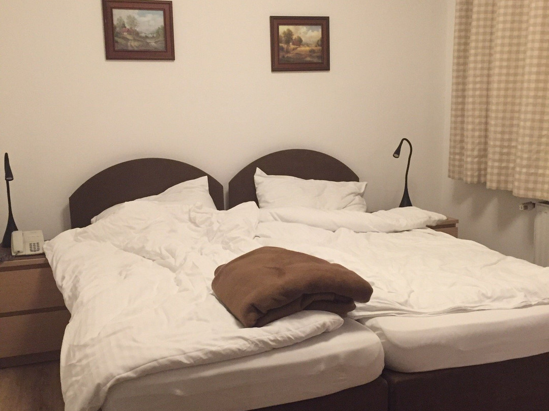 伽斯霍夫巴德尔酒店主图