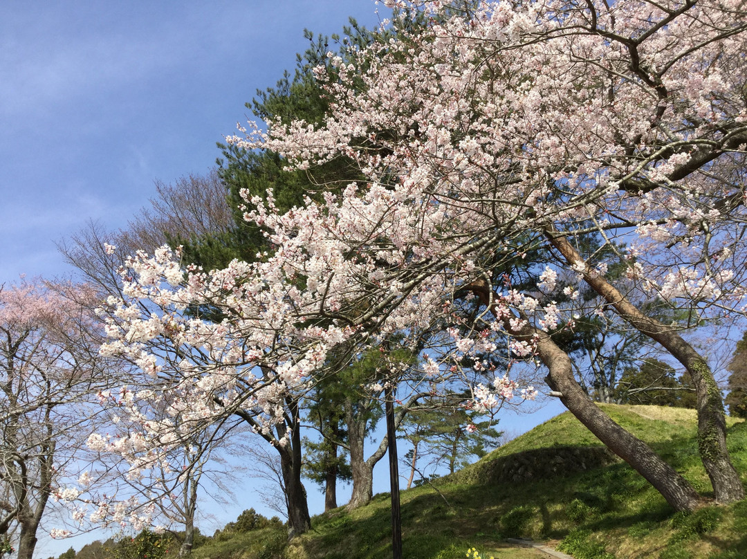 Hagurosan Park-大崎市必去景点