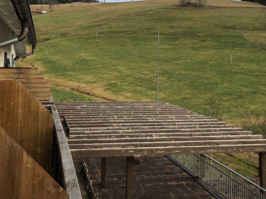 Gasthaus Pension Donishausle主图