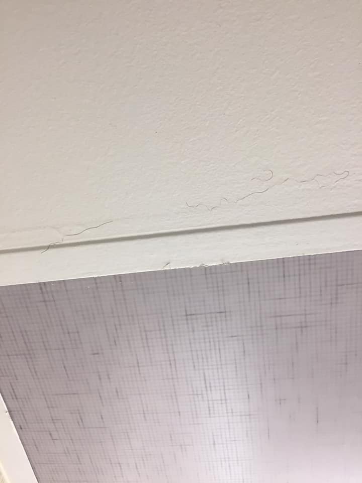 Hilton Orlando/Altamonte Springs-浴室