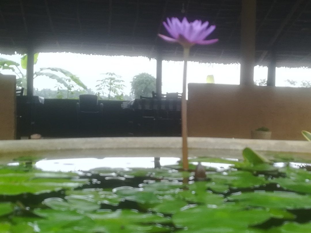 Bendiwewa旅游攻略图片