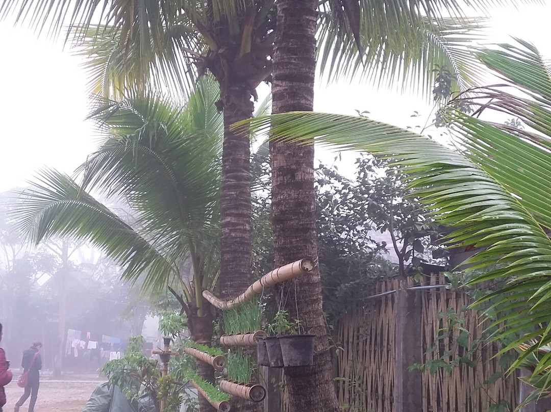 The Phou Iu Guest House and Restaurant主图