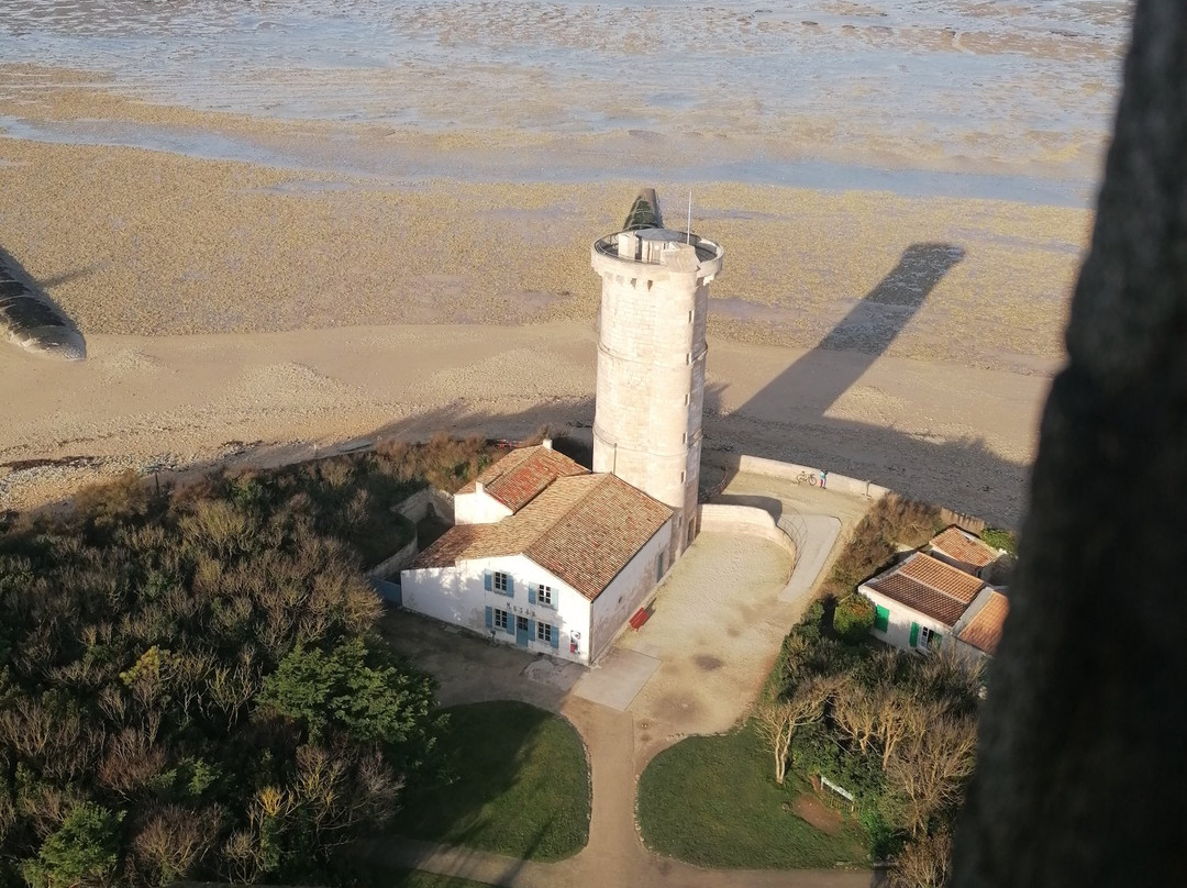 Phare Des Baleines景点图片