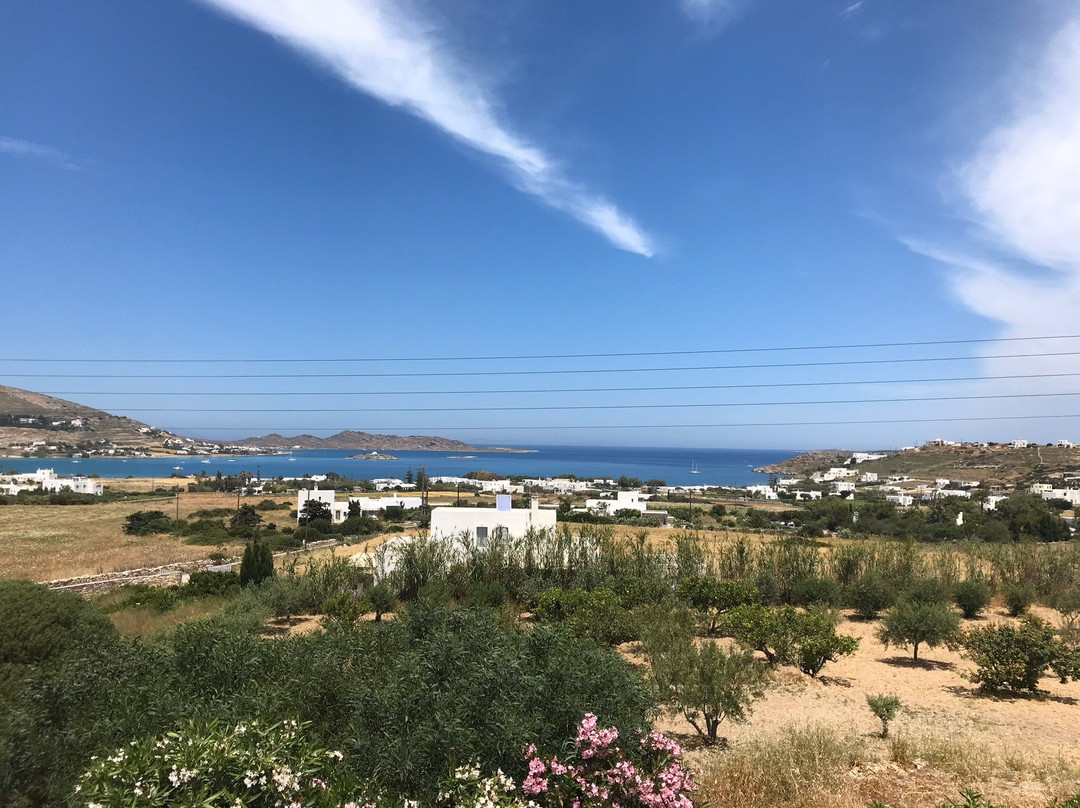 Agnanti Studios主图