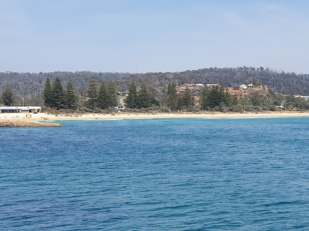 Tathra Wharf Museum景点图片