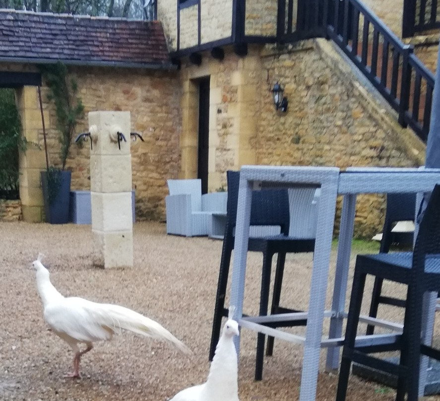 Le Noyer Residence主图