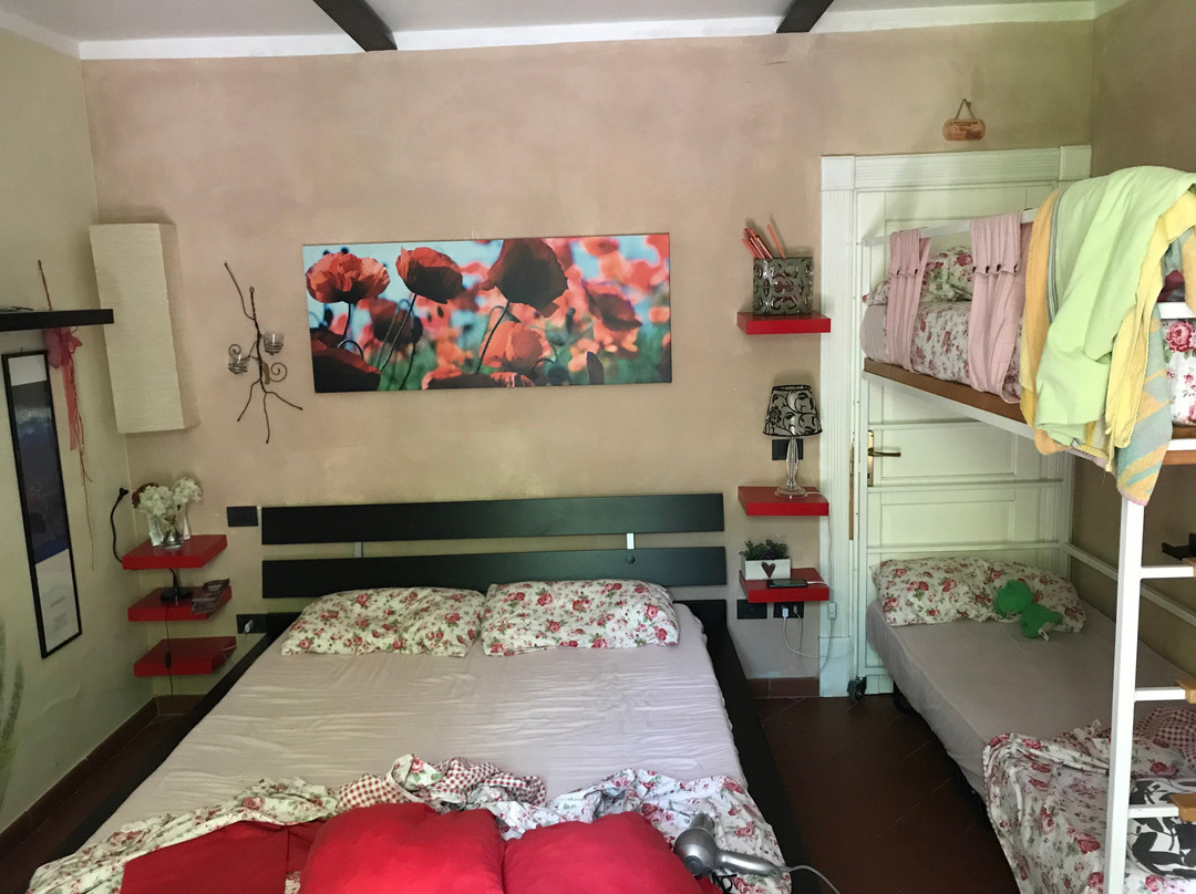B&B Papaveri e Papere主图