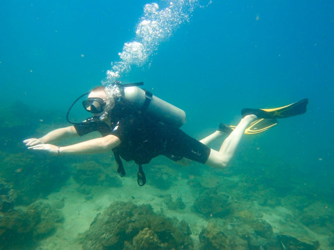 Searama Diving-扬东必去景点