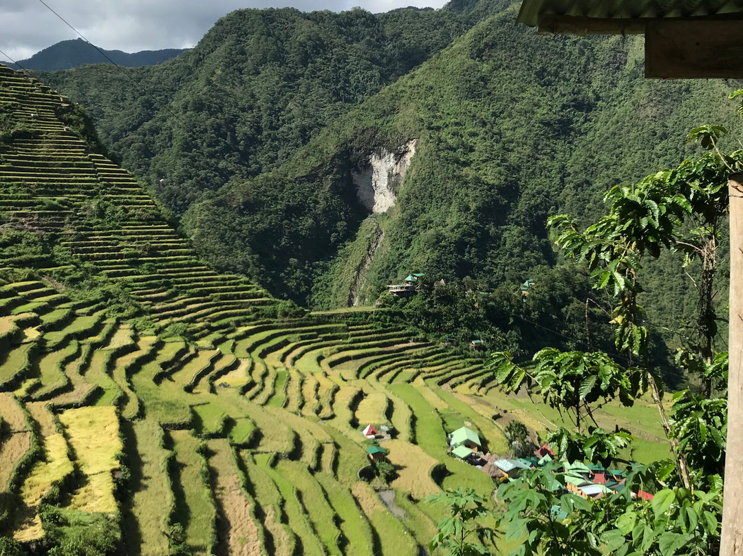 Ramon's Homestay and Restaurant主图