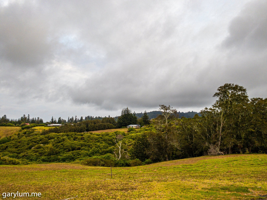 Castaway Norfolk Island主图