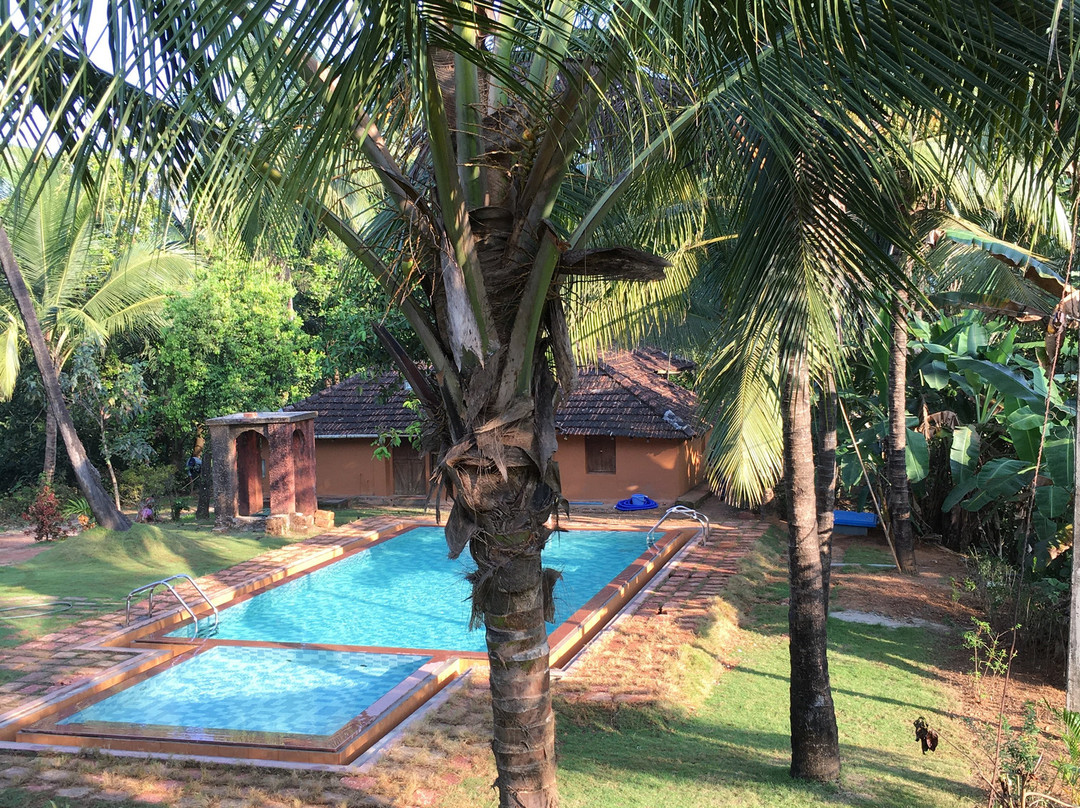 The Happiness Estate主图