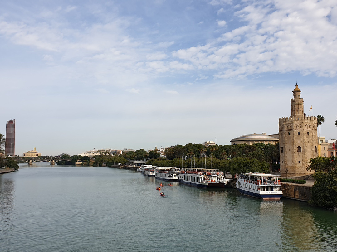 Puente de San Telmo景点图片