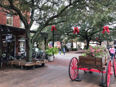 Private Walking Tours of Savannah-萨凡纳必去景点