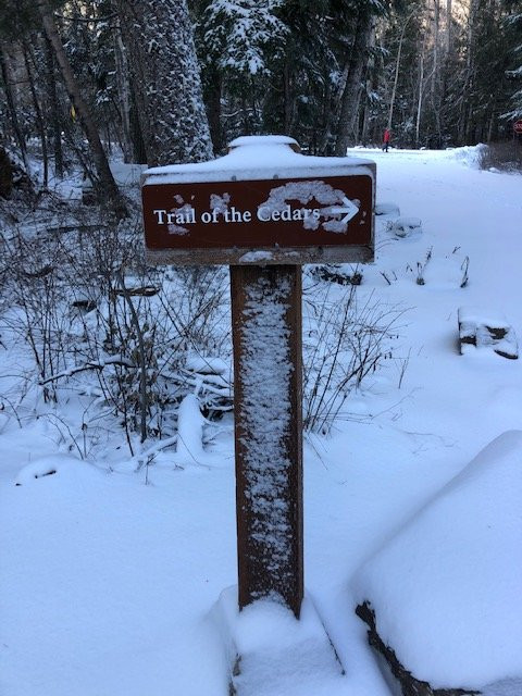 Trail of the Cedars-冰河国家公园必去景点