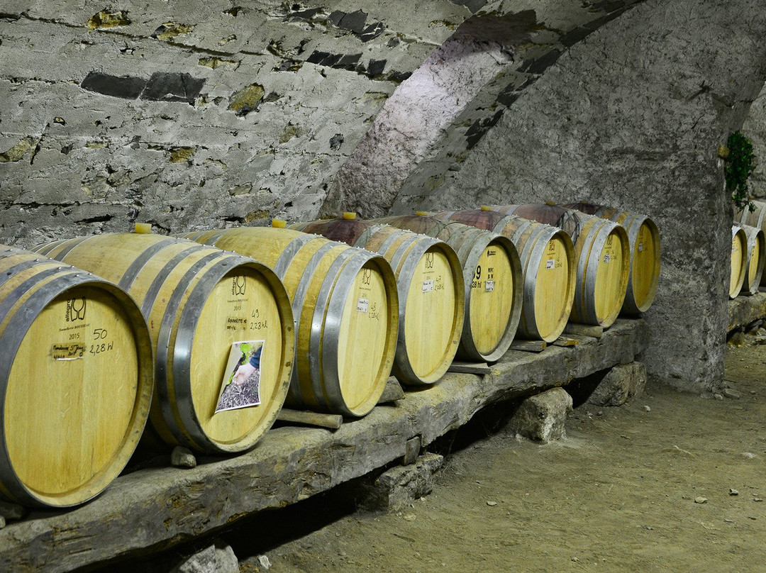 Domaine de Mejane
