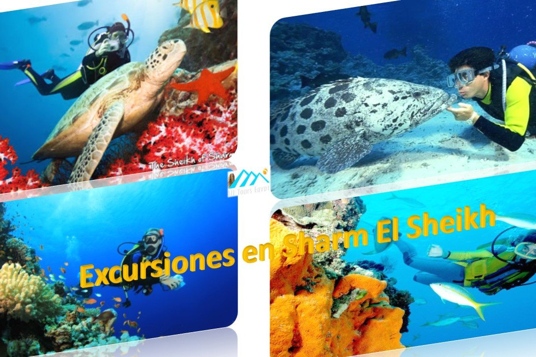 Sharm El Sheikh Tours-沙姆沙伊赫必去景点