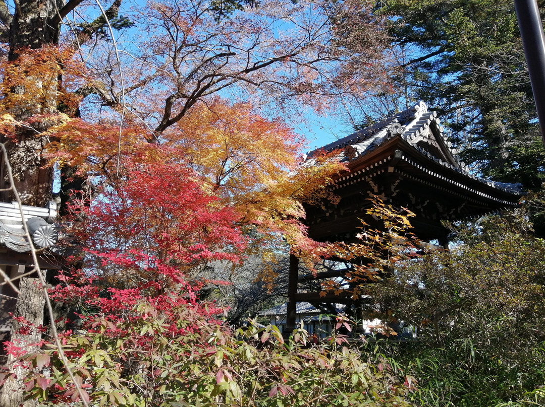 Shimizu Park景点图片