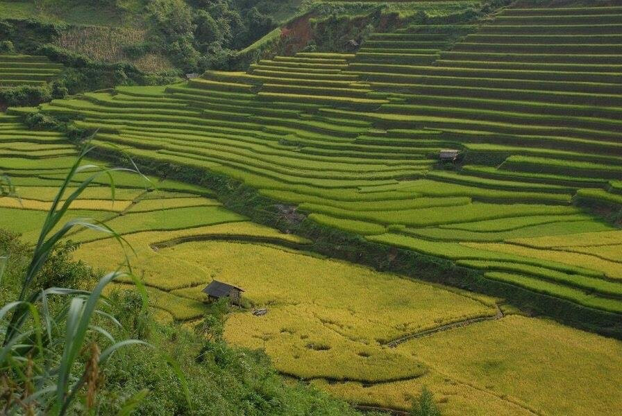 La Pan Tan-Mu Cang Chai必去景点