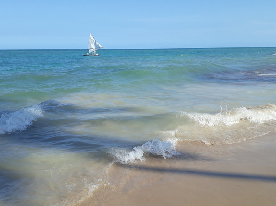 Inforturismo Viagens E Passeios-累西腓必去景点