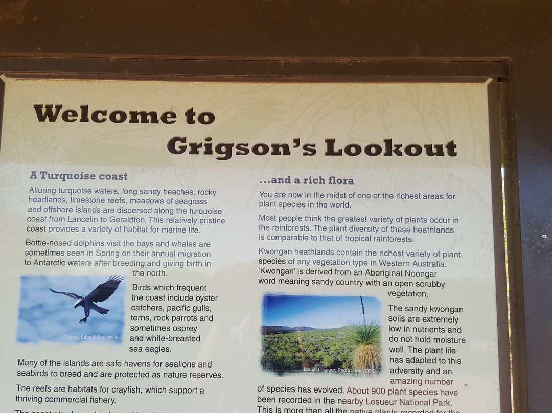 Grigson's Lookout景点图片