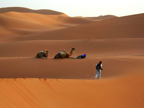 Erg Chigaga Sand Travel-El Gouera必去景点