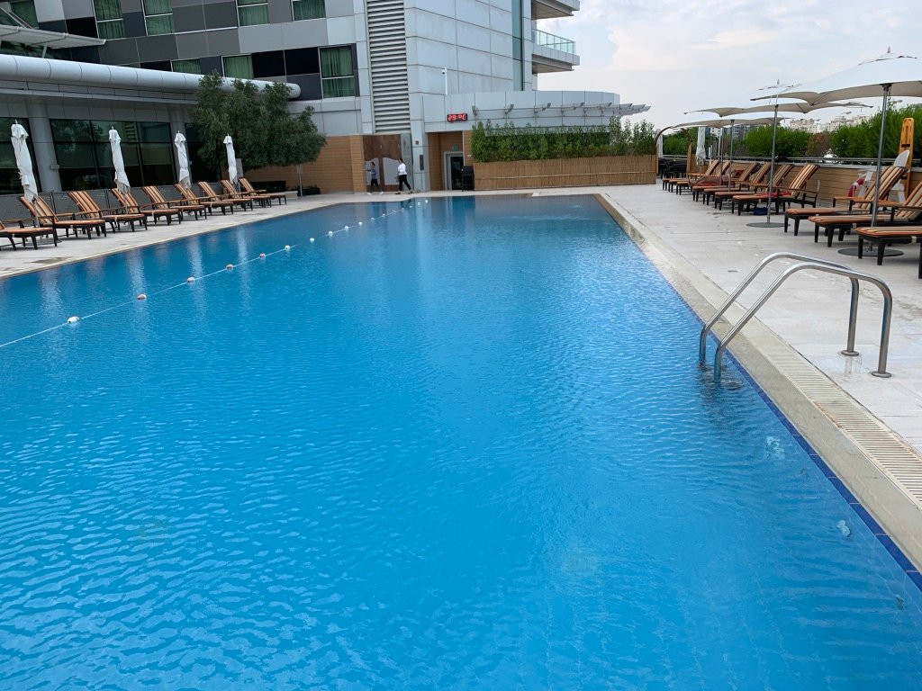 罗塔纳羚羊主图