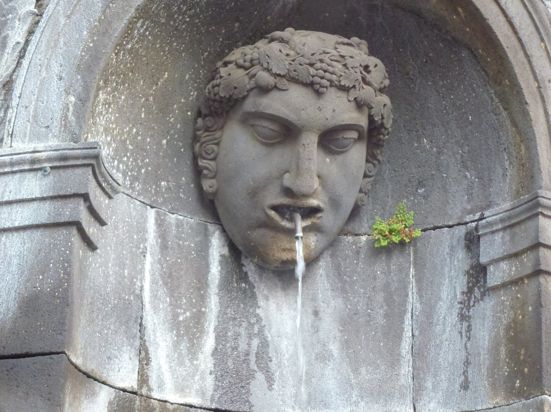 Fontaine de la République景点图片