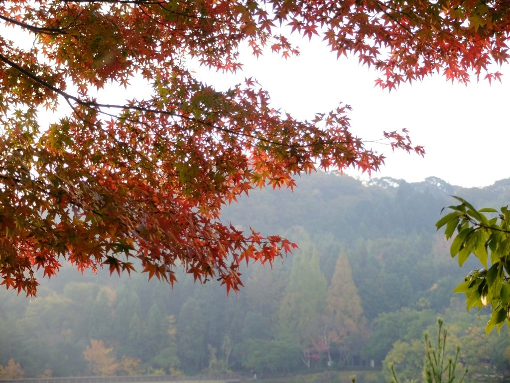 Kagamiyama Park景点图片