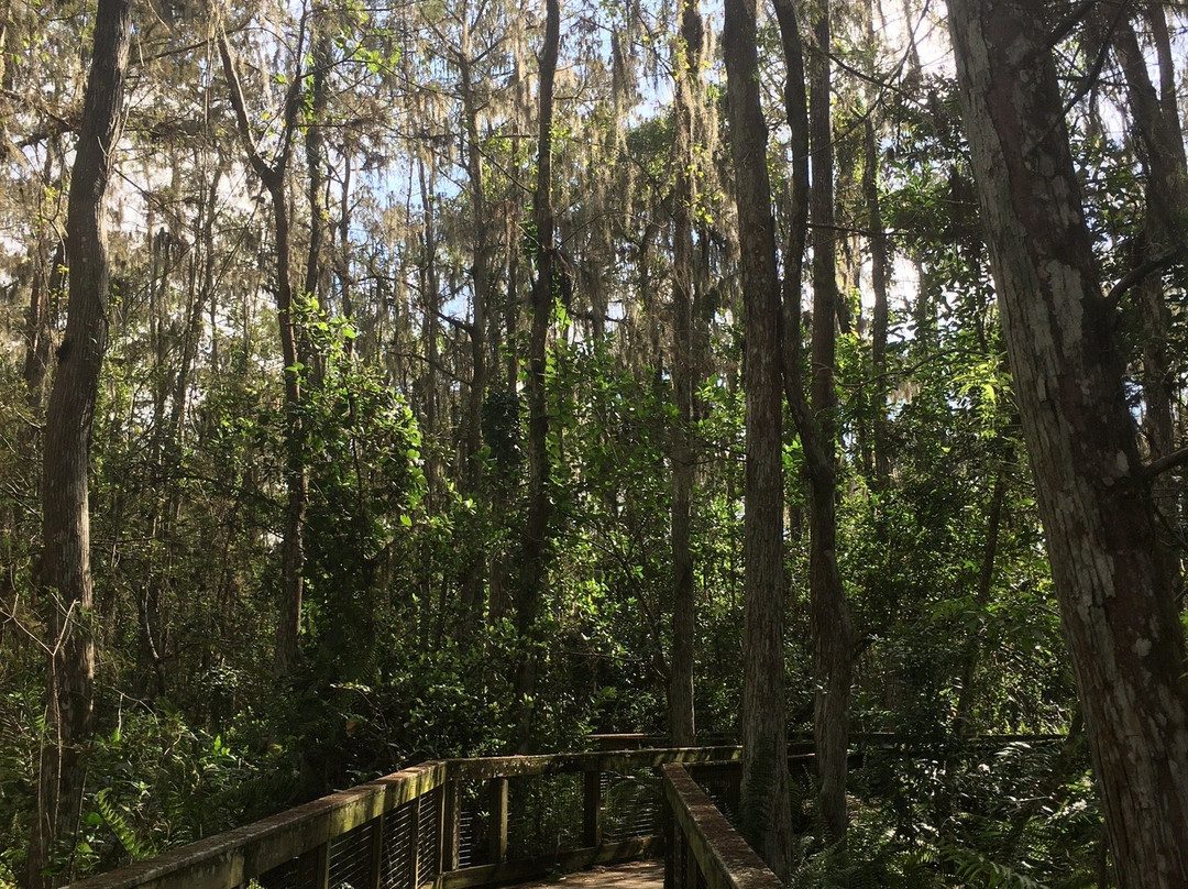 Arthur R. Marshall Loxahatchee National Wildlife Refuge-博因顿海滩必去景点