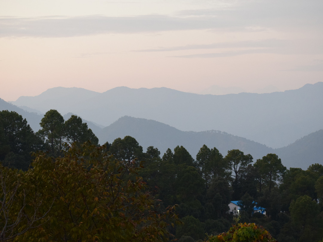 Kausani Best Inn主图