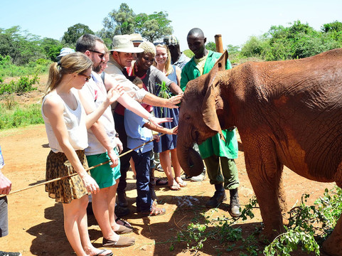 Safarilinks Africa-内罗毕必去景点