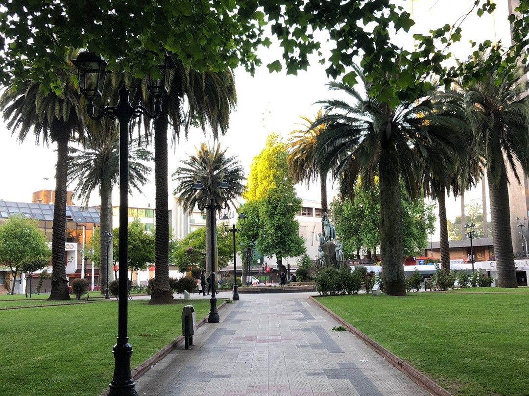 Hotel Bello Temuco主图