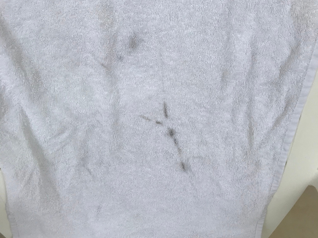 Country Inn & Suites by Radisson, Panama City, FL主图