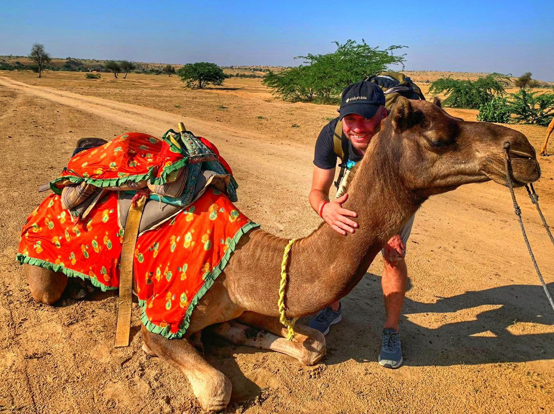 Jaisalmer Camel Safari景点图片
