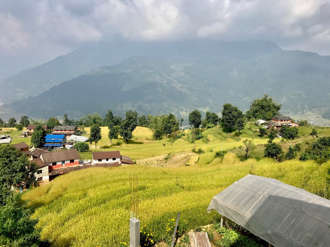 Astam Village Lodge主图