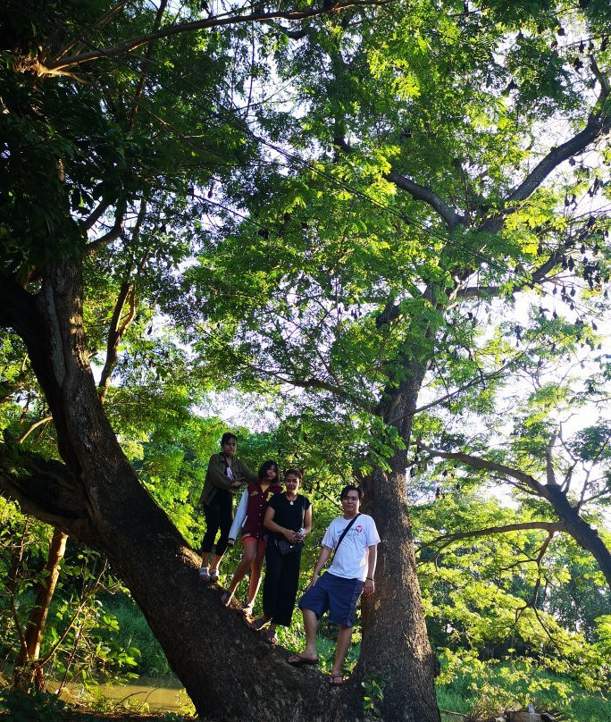 Wat Luang Phrommawat景点图片