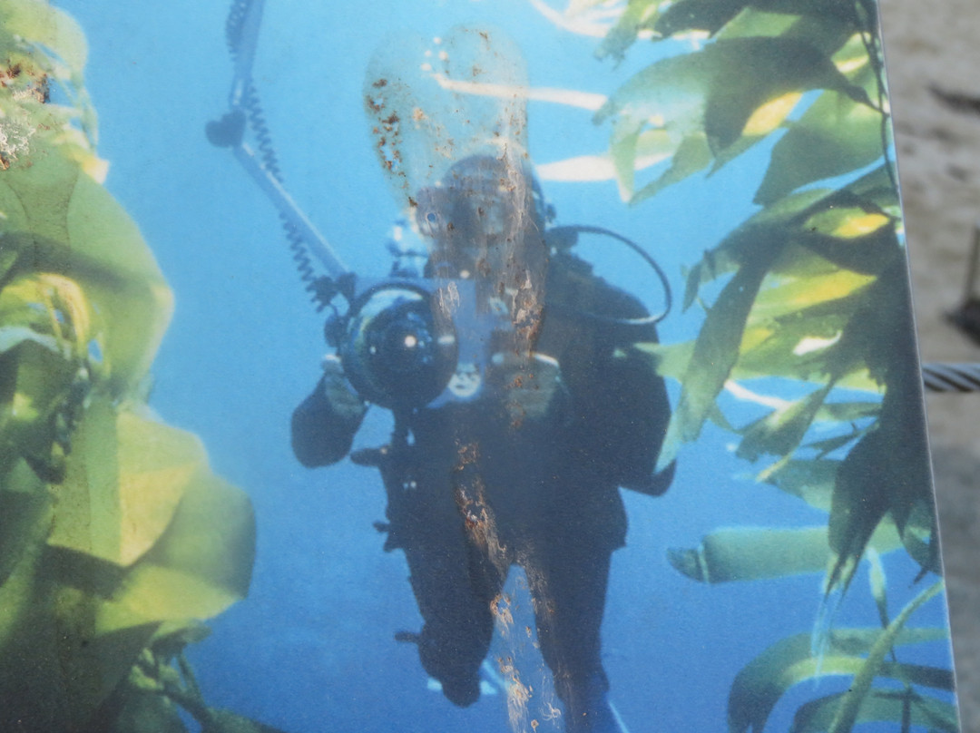 San Carlos Beach-蒙特雷必去景点