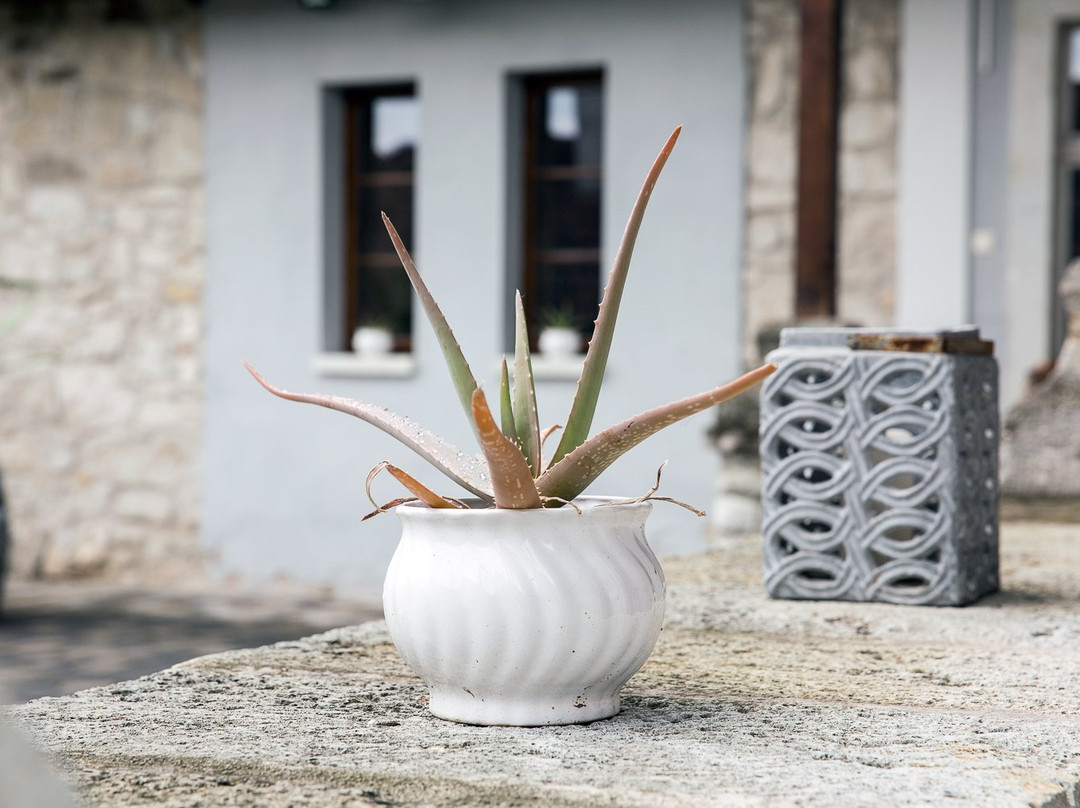 Bardon Winery-Erdobenye必去景点