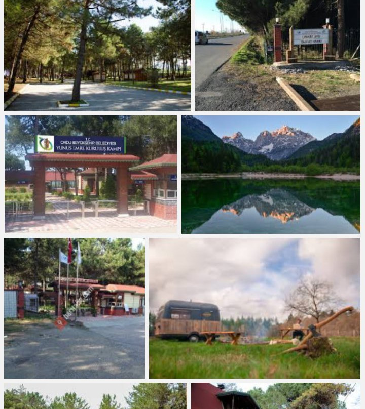 Cinarsuyu Tabiat Parki景点图片