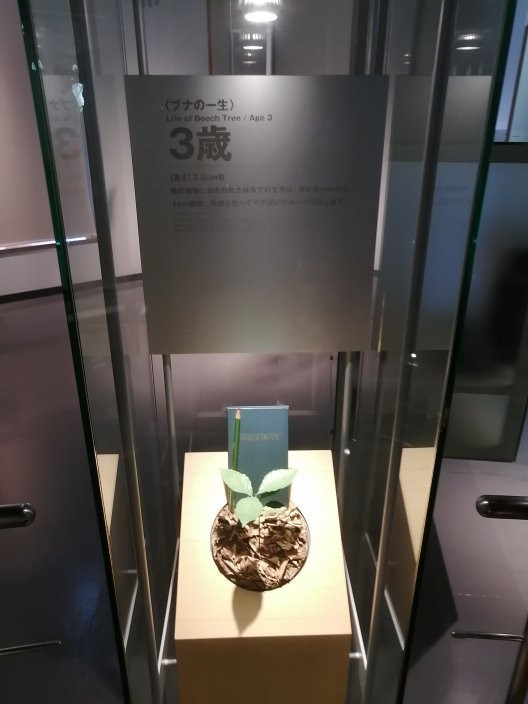Shirakami Sanchi Visitor Center景点图片