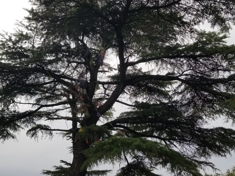 Mussoorie Outdoors-马苏里必去景点