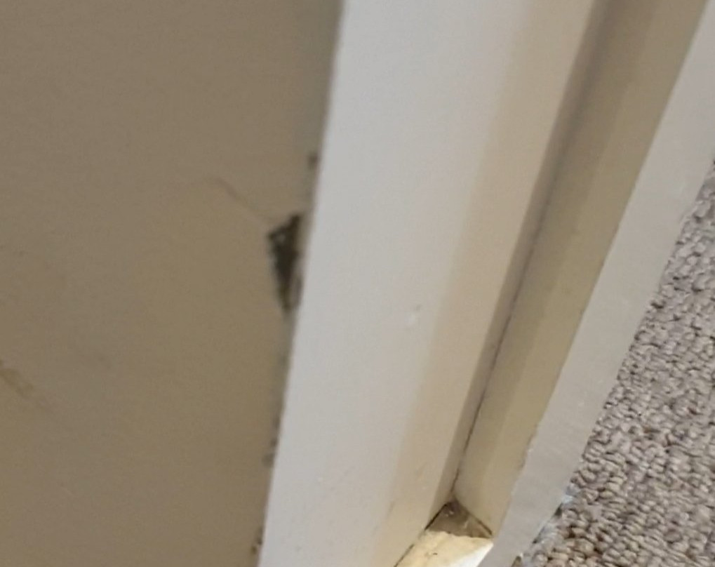 最佳西方莫宁顿布鲁克兰酒店主图